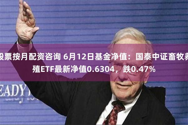 股票按月配资咨询 6月12日基金净值：国泰中证畜牧养殖ETF最新净值0.6304，跌0.47%