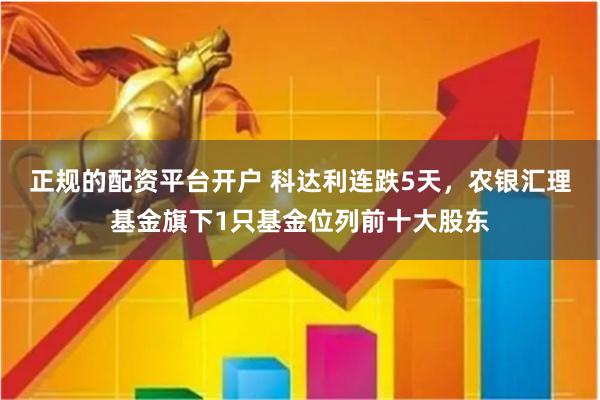 正规的配资平台开户 科达利连跌5天，农银汇理基金旗下1只基金位列前十大股东